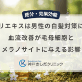 センブリエキスは男性の白髪対策に有効？血流改善が毛母細胞とメラノサイトに与える影響