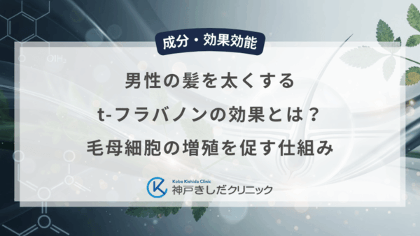男性の髪を太くするt-フラバノンの効果とは？毛母細胞の増殖を促す仕組み