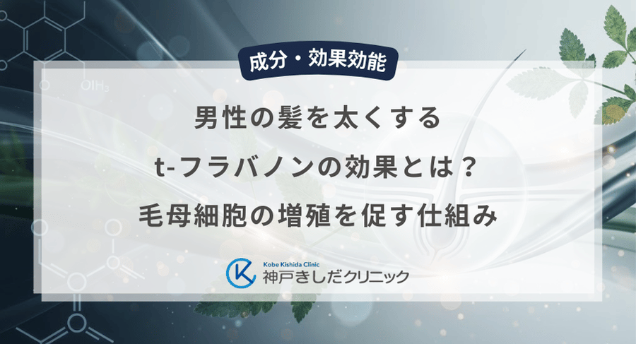 男性の髪を太くするt-フラバノンの効果とは?毛母細胞の増殖を促す仕組み