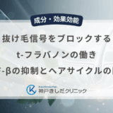 抜け毛信号をブロックするt-フラバノンの働き！TGF-βの抑制とヘアサイクルの関係