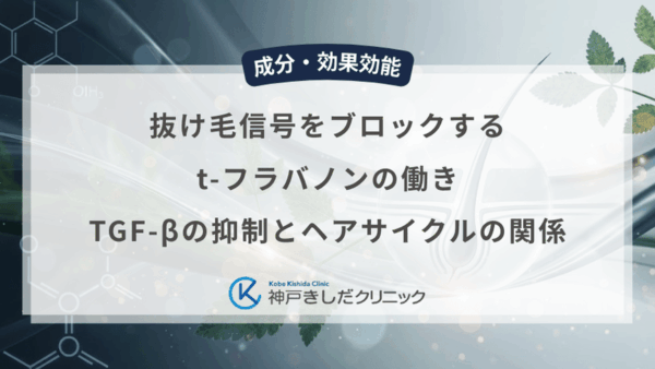 抜け毛信号をブロックするt-フラバノンの働き！TGF-βの抑制とヘアサイクルの関係