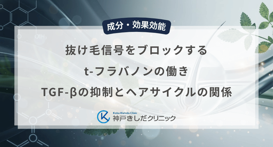 抜け毛信号をブロックするt-フラバノンの働き!TGF-βの抑制とヘアサイクルの関係