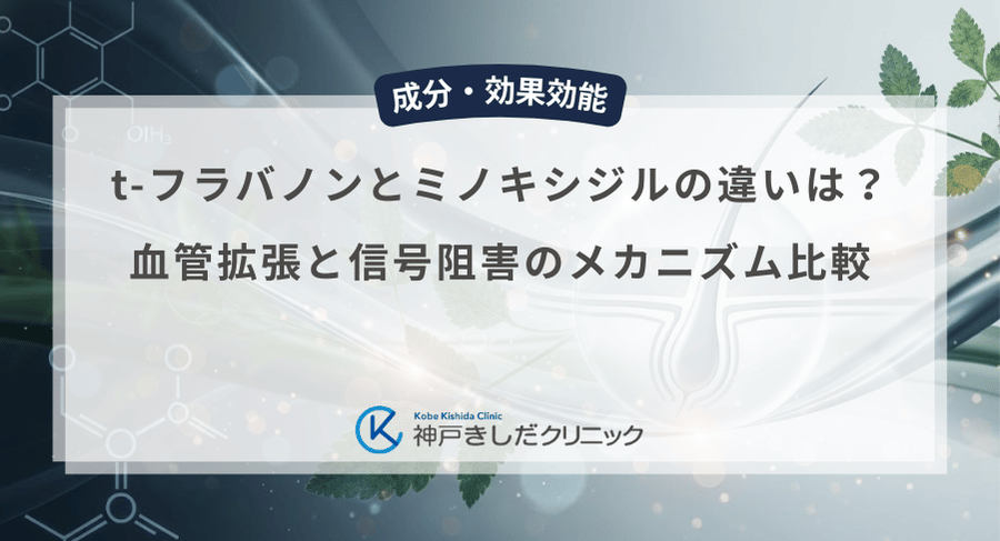 t-フラバノンとミノキシジルの違いは?血管拡張と信号阻害のメカニズム比較