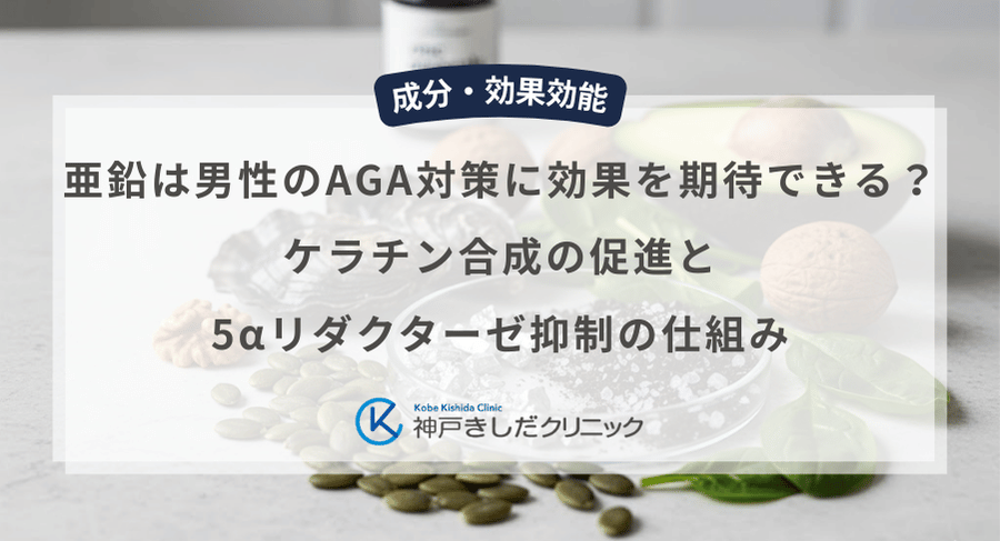 亜鉛は男性のAGA対策に効果を期待できる？ケラチン合成の促進と5αリダクターゼ抑制の仕組み
