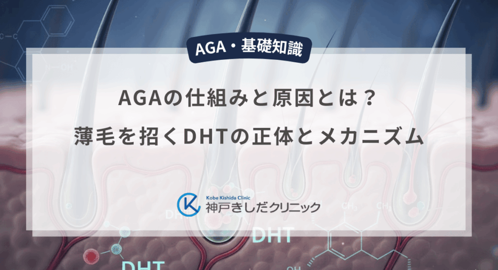 AGAの仕組みと原因とは？薄毛を招くDHTの正体とメカニズムを解説