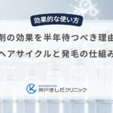 育毛剤の効果を半年待つべき理由は？男性のヘアサイクルと発毛の仕組みを解説