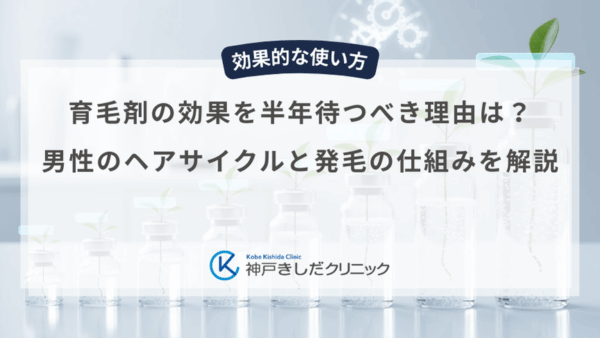 育毛剤の効果を半年待つべき理由は？男性のヘアサイクルと発毛の仕組みを解説
