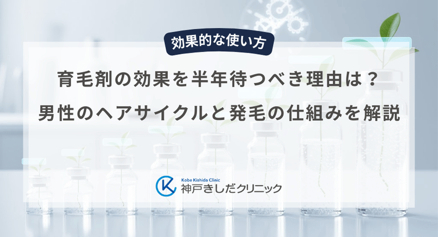 育毛剤の効果を半年待つべき理由は？男性のヘアサイクルと発毛の仕組みを解説
