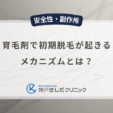 育毛剤で初期脱毛が起きるメカニズムとは？男性の新しい髪が育つ兆候を解説