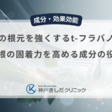 髪の毛の根元を強くするt-フラバノンの力｜毛根の固着力を高める成分の役割