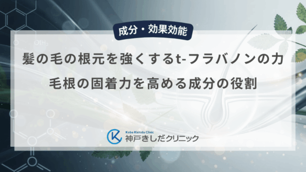 髪の毛の根元を強くするt-フラバノンの力｜毛根の固着力を高める成分の役割