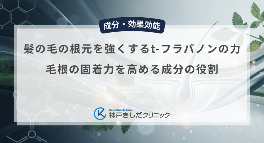 髪の毛の根元を強くするt-フラバノンの力｜毛根の固着力を高める成分の役割