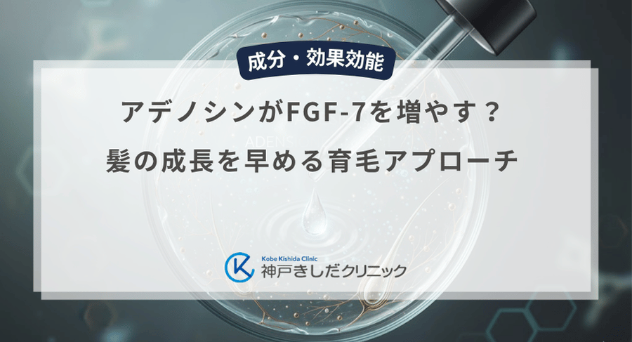 アデノシンがFGF-7を増やす？髪の成長を早める育毛アプローチ