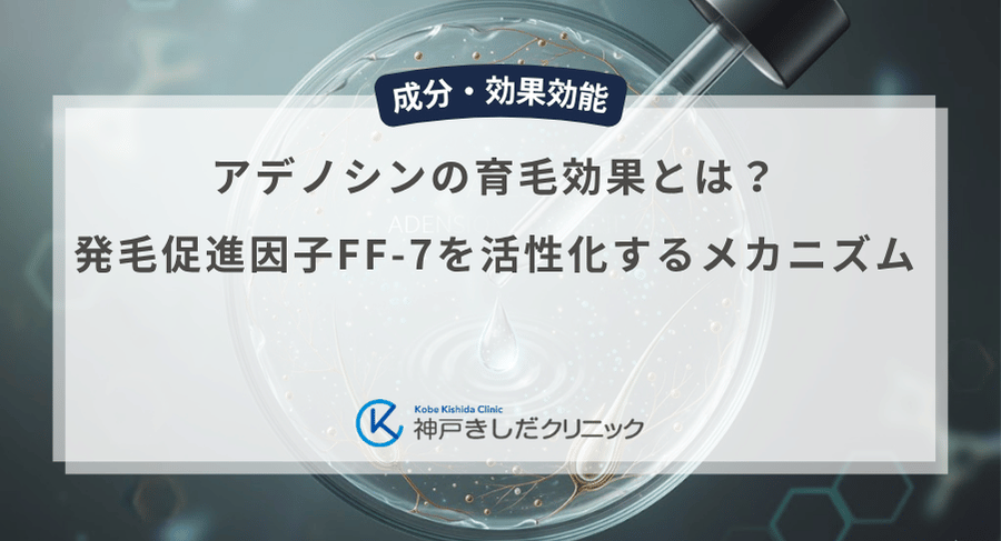 アデノシンの育毛効果とは?発毛促進因子FF-7を活性化するメカニズム