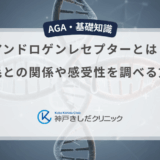 アンドロゲンレセプターとは？薄毛との関係や感受性を調べる方法