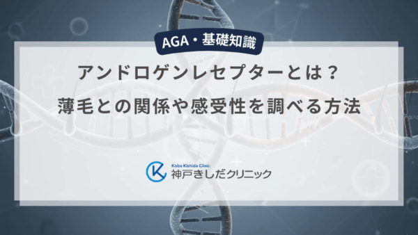 アンドロゲンレセプターとは？薄毛との関係や感受性を調べる方法