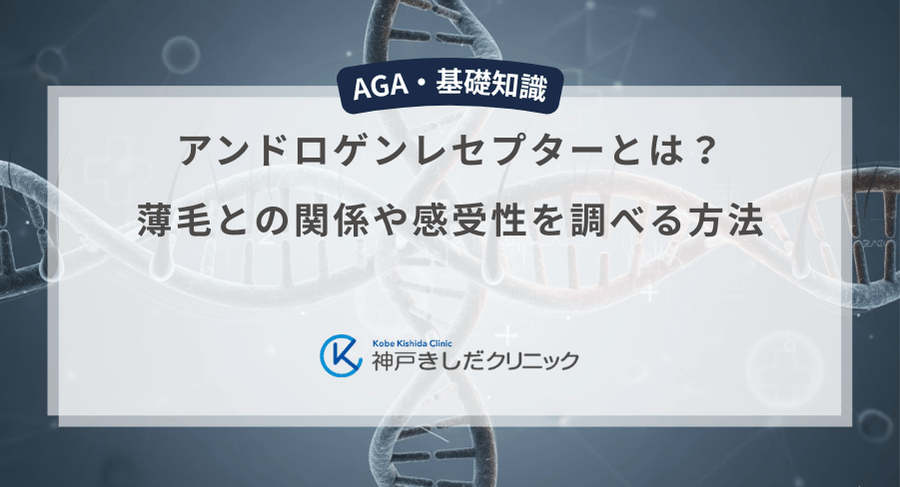 アンドロゲンレセプターとは？薄毛との関係や感受性を調べる方法