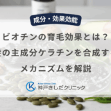 ビオチンの育毛効果とは？髪の主成分ケラチンを合成するメカニズムを解説