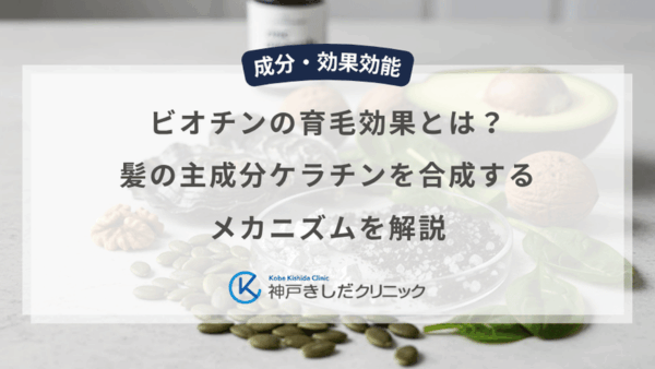 ビオチンの育毛効果とは？髪の主成分ケラチンを合成するメカニズムを解説