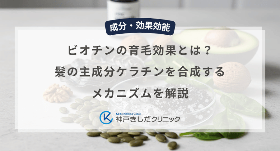 ビオチンの育毛効果とは?髪の主成分ケラチンを合成するメカニズムを解説