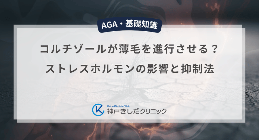 コルチゾールが薄毛を進行させる?ストレスホルモンの影響と抑制法
