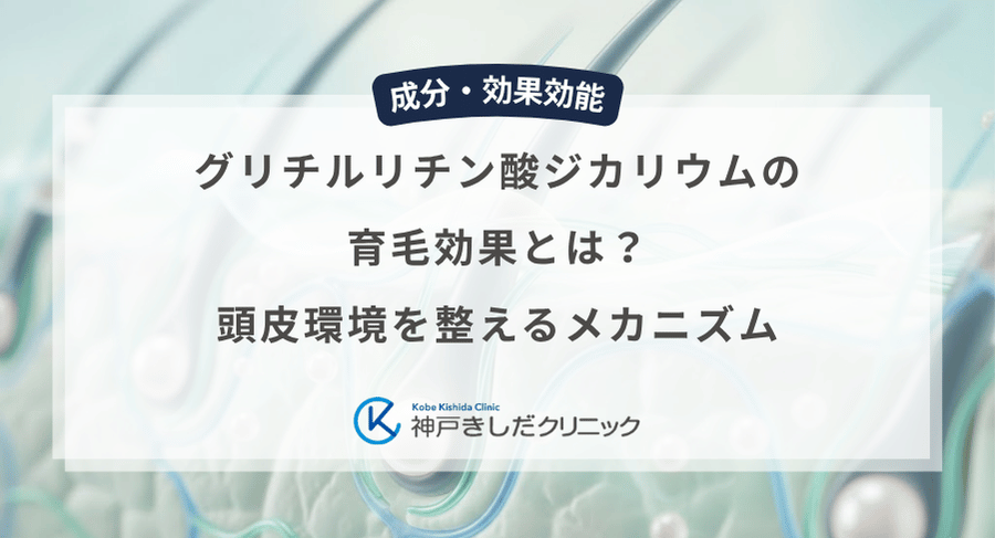 グリチルリチン酸ジカリウムの育毛効果とは？頭皮環境を整えるメカニズム