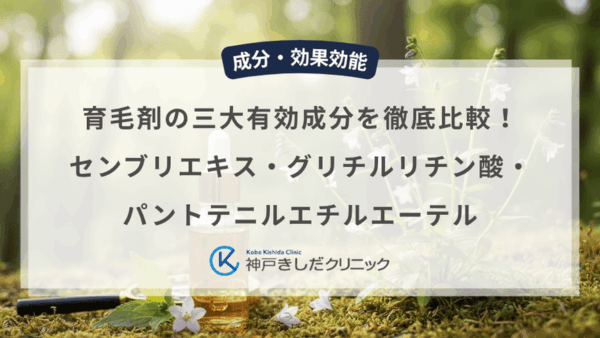 育毛剤の三大有効成分を徹底比較！センブリエキス・グリチルリチン酸・パントテニルエチルエーテル