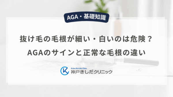 抜け毛の毛根が細い・白いのは危険？AGAのサインと正常な毛根の違い