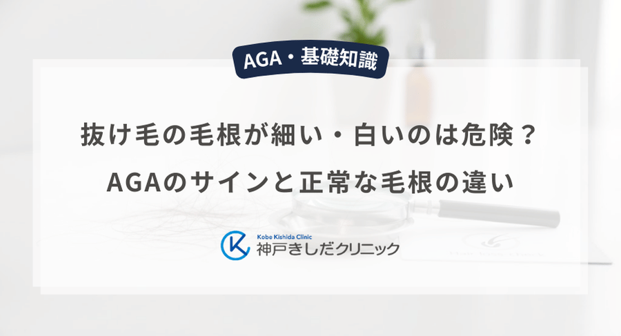 抜け毛の毛根が細い・白いのは危険?AGAのサインと正常な毛根の違い