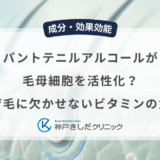 パントテニルアルコールが毛母細胞を活性化？育毛に欠かせないビタミンの力