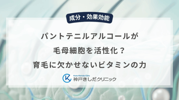 パントテニルアルコールが毛母細胞を活性化？育毛に欠かせないビタミンの力