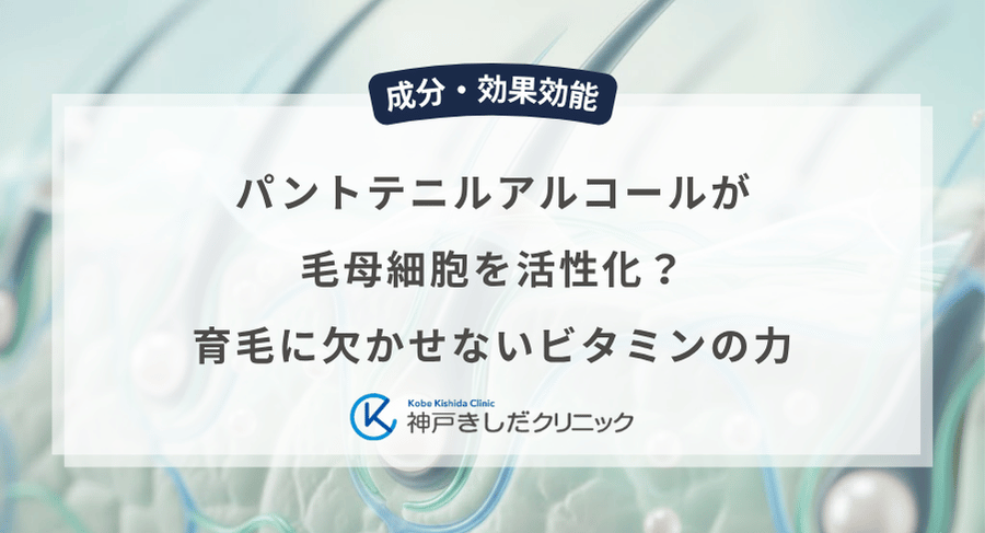 パントテニルアルコールが毛母細胞を活性化?育毛に欠かせないビタミンの力