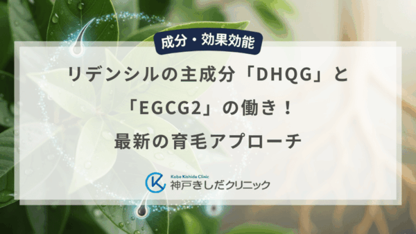 リデンシルの主成分「DHQG」と「EGCG2」の働き！最新の育毛アプローチ