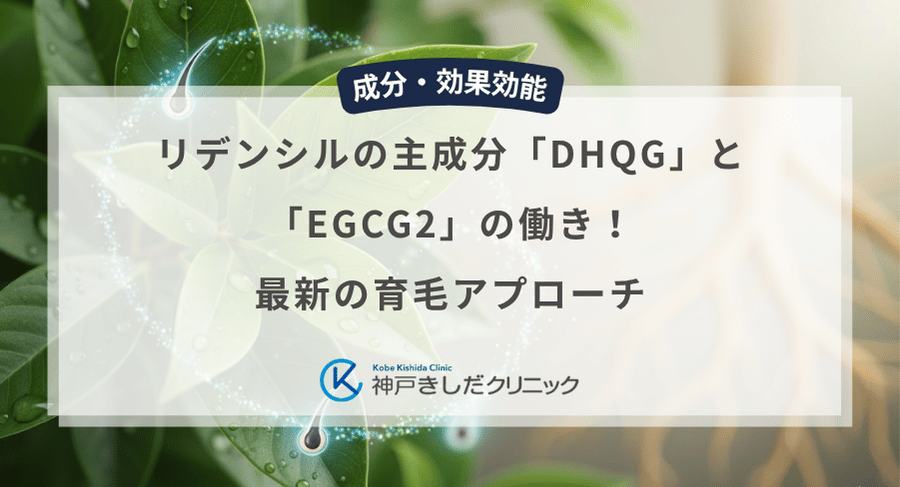 リデンシルの主成分「DHQG」と「EGCG2」の働き！最新の育毛アプローチ