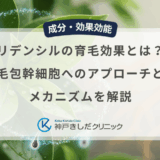 リデンシルの育毛効果とは？毛包幹細胞へのアプローチとメカニズムを解説