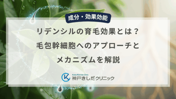 リデンシルの育毛効果とは？毛包幹細胞へのアプローチとメカニズムを解説