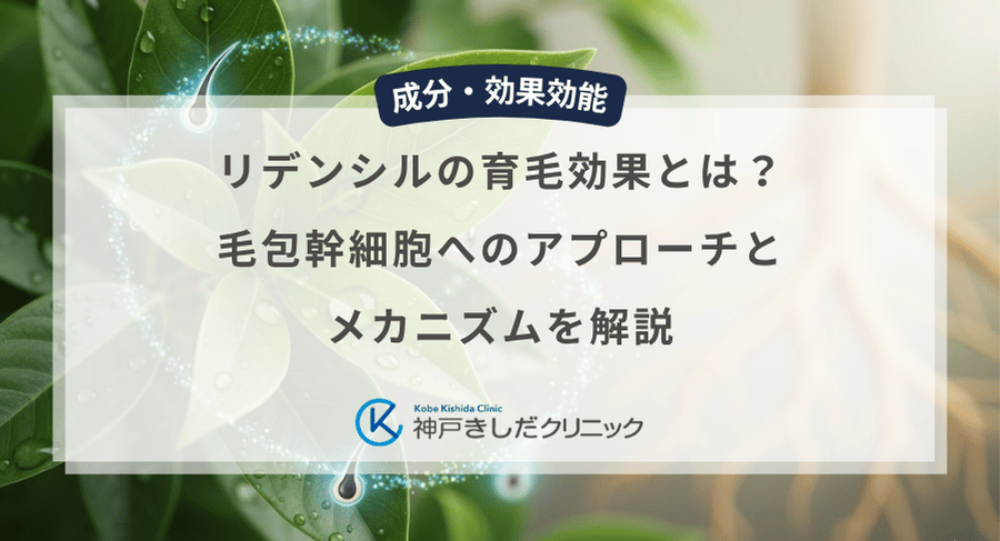 リデンシルの育毛効果とは?毛包幹細胞へのアプローチとメカニズムを解説