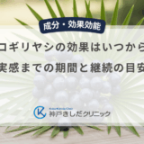 ノコギリヤシの効果はいつから？実感までの期間と継続の目安