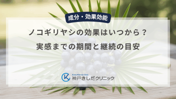 ノコギリヤシの効果はいつから？実感までの期間と継続の目安