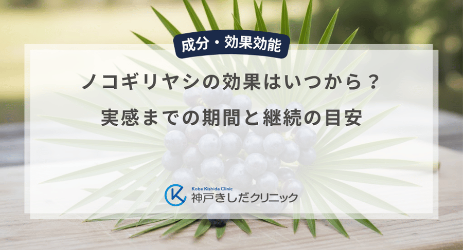 ノコギリヤシの効果はいつから？実感までの期間と継続の目安