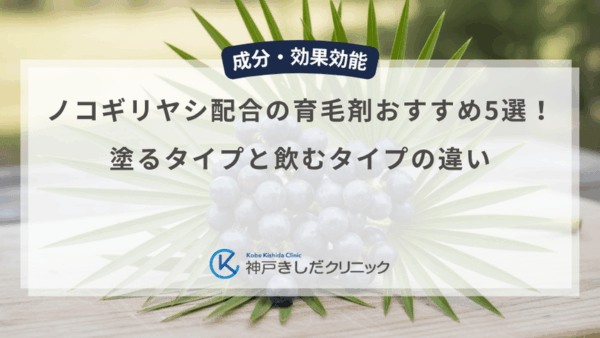 ノコギリヤシ配合の育毛剤おすすめ5選！塗るタイプと飲むタイプの違い