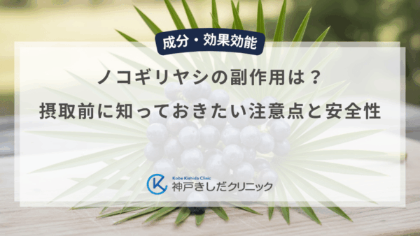 ノコギリヤシの副作用は？摂取前に知っておきたい注意点と安全性