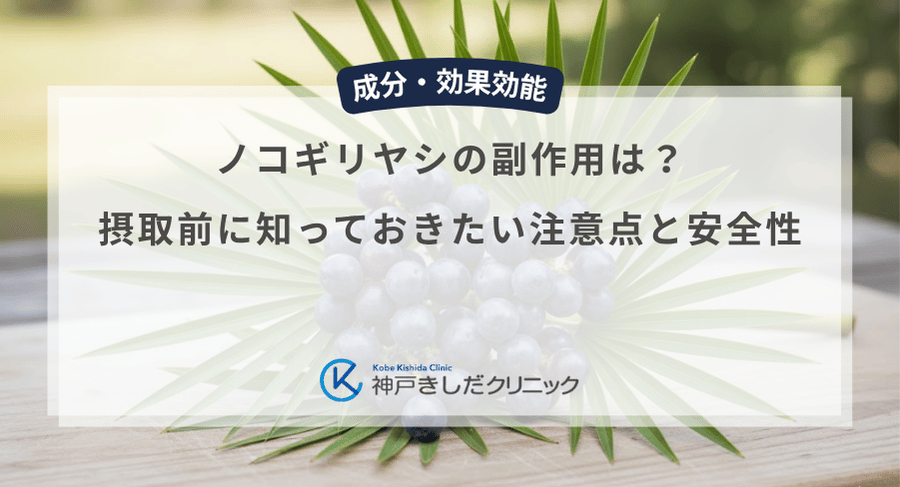 ノコギリヤシの副作用は？摂取前に知っておきたい注意点と安全性