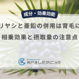 ノコギリヤシと亜鉛の併用は育毛に良い？相乗効果と摂取量の注意点