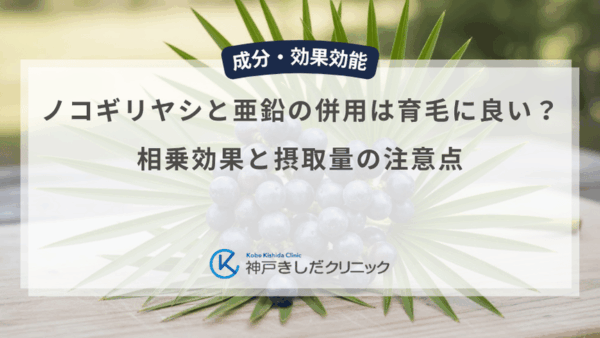 ノコギリヤシと亜鉛の併用は育毛に良い？相乗効果と摂取量の注意点