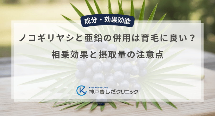 ノコギリヤシと亜鉛の併用は育毛に良い？相乗効果と摂取量の注意点