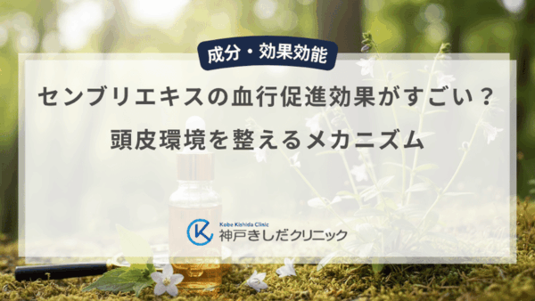 センブリエキスの血行促進効果がすごい？頭皮環境を整えるメカニズム