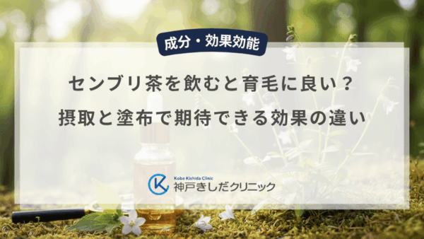 センブリ茶を飲むと育毛に良い？摂取と塗布で期待できる効果の違い