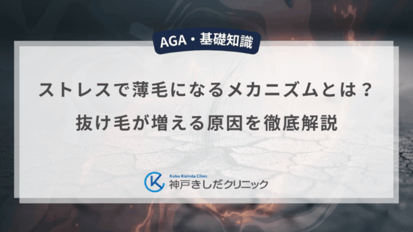 ストレスで薄毛になるメカニズムとは？抜け毛が増える原因を徹底解説