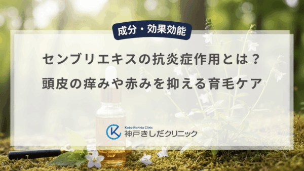 センブリエキスの抗炎症作用とは？頭皮の痒みや赤みを抑える育毛ケア